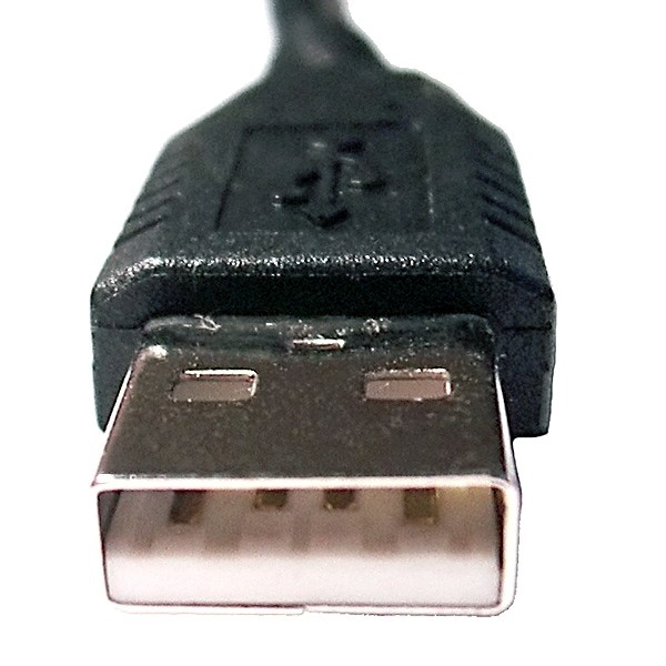 Photo of a USB Type-A male plug with a rectangular metal shell